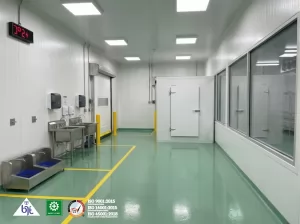 Inovasi Terbaru dalam Sistem Cold Storage Room Chiller